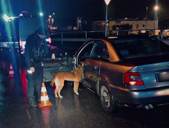 Ścigany kierowca porzucił samochód. Policyjny pies odnalazł mężczyznę w krzakach Ścigany kierowca porzucił samochód. Policyjny pies odnalazł mężczyznę w krzakach