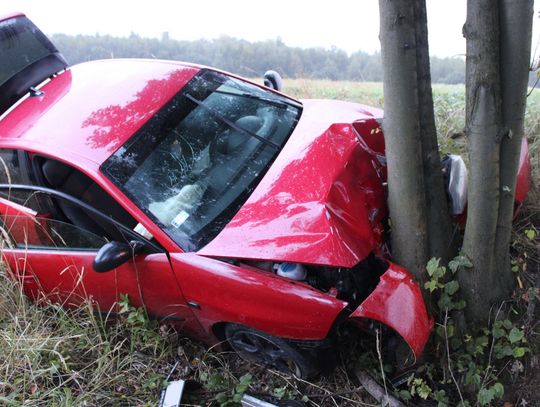 Seat uderzył w drzewo. Za kierownicą 19-latek bez prawa jazdy, tester wykazał marihuanę