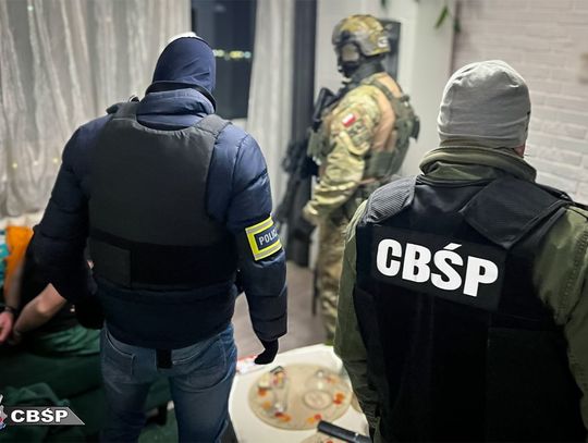 Serbowie rozkręcali narkobiznes w Polsce. W wynajmowanych domach prowadzili plantacje konopi