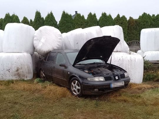 Seat wypadł z drogi i wylądował w polu na belach kiszonki. Kierowca był pijany i jechał na zakazie