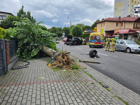 Siła uderzenia była ogromna. Auto wyrwało drzewo i wpadło w zaparkowany samochód
