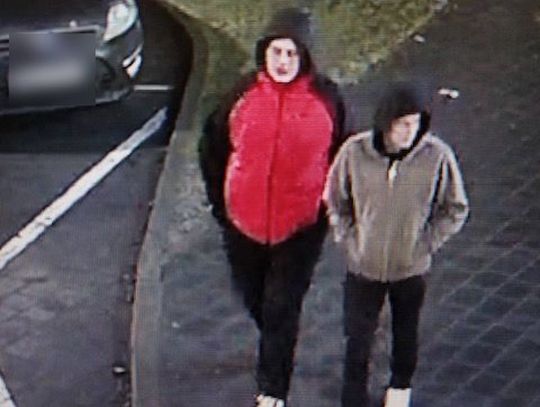 Skandaliczne zachowanie w bożonarodzeniowej szopce. Policja szuka mężczyzn ze zdjęcia