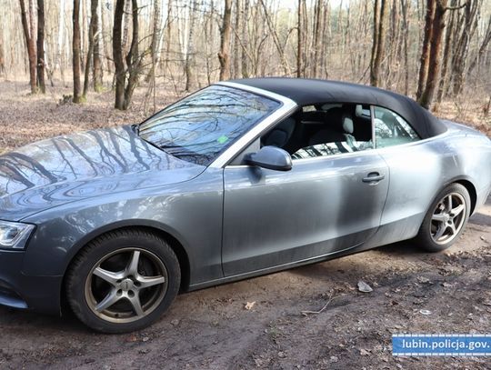 Skradzione w Niemczech audi odnalezione w polskim lesie z nowymi blachami