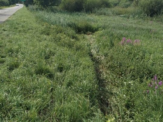 Śmiertelne potrącenie i ucieczka z miejsca wypadku. Policja szuka kierowcy