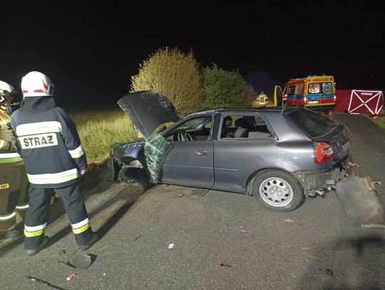 Śmiertelny finał zderzenia z sarną. Audi dachowało, ratownikom nie udało się uratować kierowcy