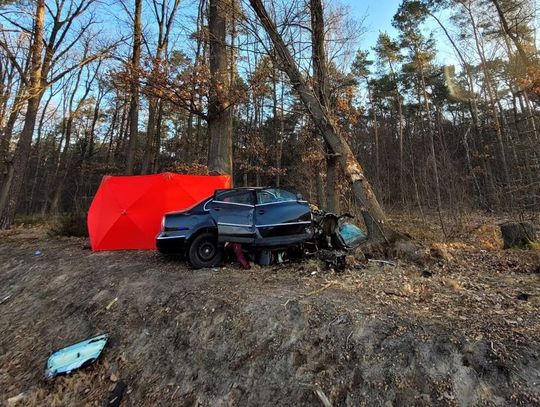 Śmiertelny wypadek na Lubelszczyźnie. 32-letni kierowca volkswagena zginął po wjechaniu w drzewo