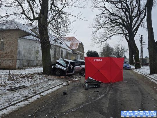 Śmiertelny wypadek w Lubomierzu. Subaru owinęło się wokół drzewa, kierowca miał zakaz prowadzenia