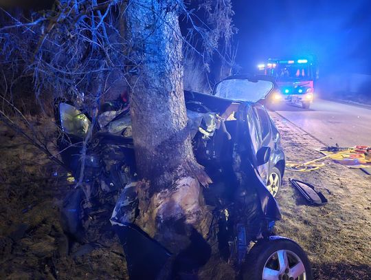 Śmiertelny wypadek w Wielkanoc. 17-latek zginął na miejscu. Auto z ogromną siłą uderzyło w drzewo Śmiertelny wypadek w Wielkanoc. 17-latek zginął na miejscu. Auto z ogromną siłą uderzyło w drzewo