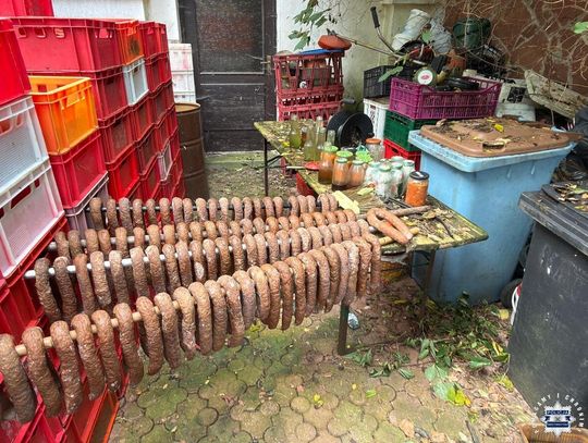Smród, brud, szczury i kiełbasa. Odrażające odkrycie na posesji 68-latka