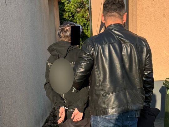 Spryskali przechodnia gazem i zmusili do podania haseł bankowych. Sprawcami 18-latek i 22-latka