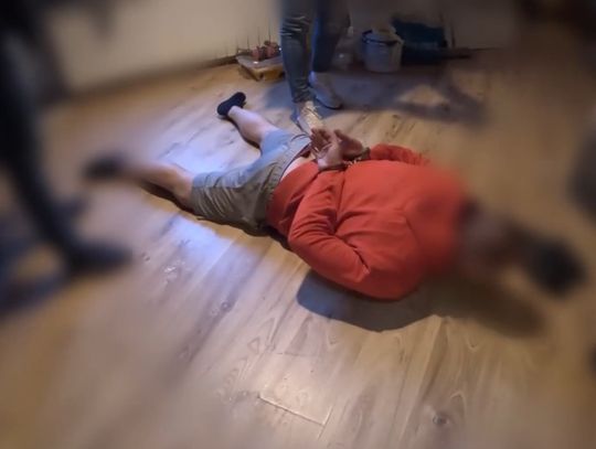 Sprzedawali samochody-widma. CBZC rozbiło międzynarodową grupę oszustów