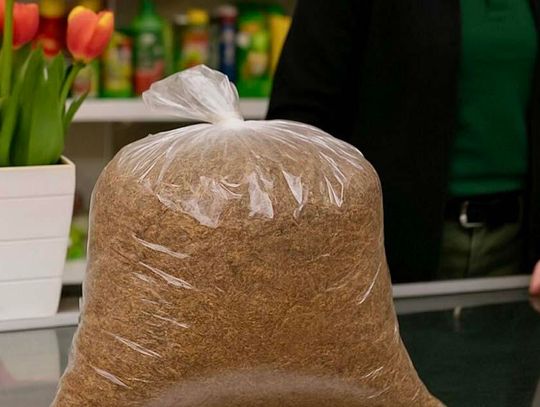 Sprzedawczyni z ogrodniczego miała pod ladą nielegalny tytoń. Zaufani klienci kupowali go na kilogramy