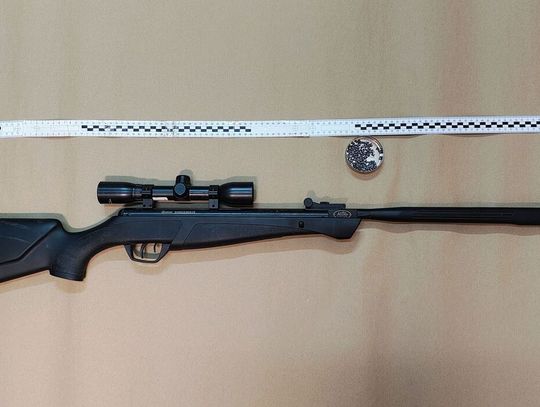 Strzelał do kota z wiatrówki. Zwierzę trzeba było uśpić, 47-latkowi grozi 5 lat więzienia