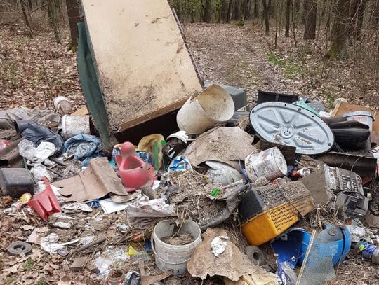 Strzelił sobie hat tricka. Był pijany, wjechał do lasu mimo zakazu i wyrzucił tam śmieci