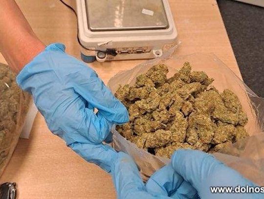 Szarpał i gryzł policjanta, bo chciał uniknąć konsekwencji za posiadanie kilograma marihuany