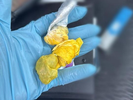 Szukał rogów w lesie, znalazł... narkotyki i je zażył. 24-latek tłumaczył się tak policjantce