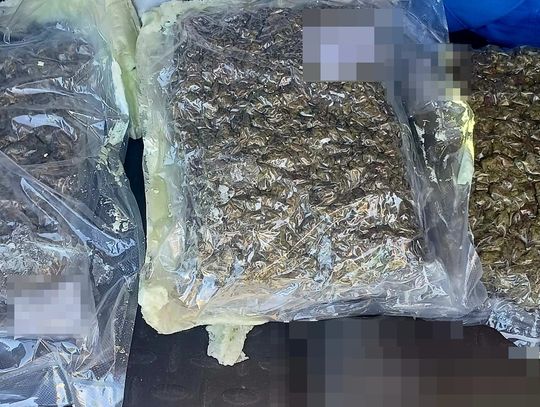 Szukali go w sprawie narkotykowej. 41-latek wpadł z ponad 3 kilogramami marihuany