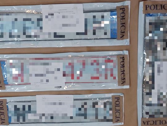 Tablice zakopał w lesie, a przed policjantami ukrył się pod łóżkiem. 23-latek wpadł, bo źle zaparkował