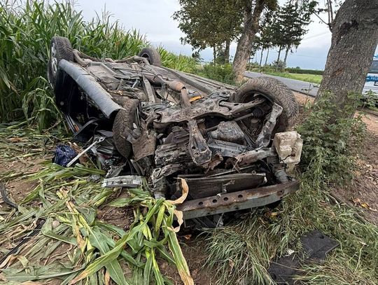 Toyota roztrzaskała się o drzewo. 57-letnia kierująca zginęła na miejscu