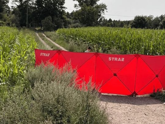 Tragedia na podjeździe. Kierowca śmiertelnie potrącił własnego brata