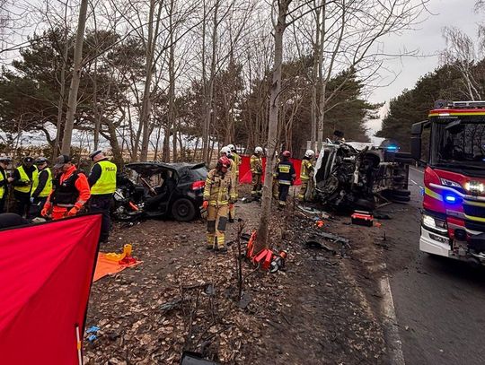 Tragedia na trasie Władysławowo-Hel. W zderzeniu osobówki z dostawczakiem zginęła kobieta Tragedia na trasie Władysławowo-Hel. W zderzeniu osobówki z dostawczakiem zginęła kobieta