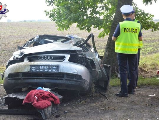 Tragiczne zderzenie audi z łosiem. 33-letni kierowca poniósł śmierć na miejscu