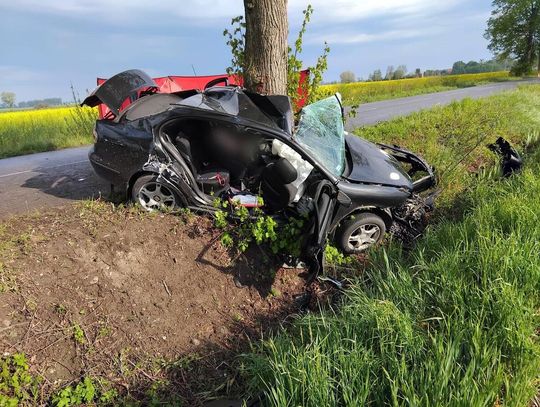 Tragiczny poranek na drodze. 19-latka uderzyła w drzewo, dziewczyna zginęła na miejscu Tragiczny poranek na drodze. 19-latka uderzyła w drzewo, dziewczyna zginęła na miejscu
