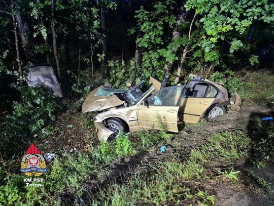 Tragiczny wypadek na DK 91. Nie żyje 19-letnia dziewczyna, BMW uderzyło w leżące drzewo