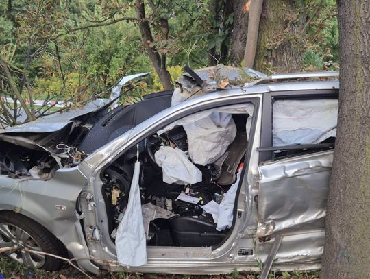 Tragiczny wypadek nad ranem. Kierowca zginął po uderzeniu w drzewo