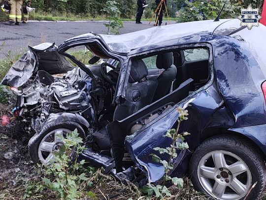 Tragiczny wypadek w Mikołowie. Po uderzeniu w drzewo renault spłonęło, kierowca zginął na miejscu