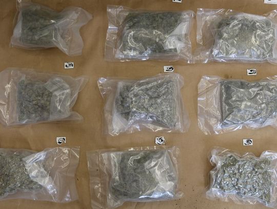 Trzej młodzi mężczyźni rozkręcali narkobiznes. Po akcji policji cała ekipa trafiła do aresztu