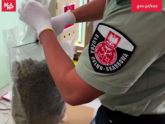 Trzy kilogramy marihuany, kokaina i sterydy w przesyłkach kurierskich. Skarbówka udaremniła przemyt