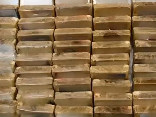 Trzymał w piwnicy blisko 8 kilogramów haszyszu. Po nalocie policji 31-latek trafił do aresztu