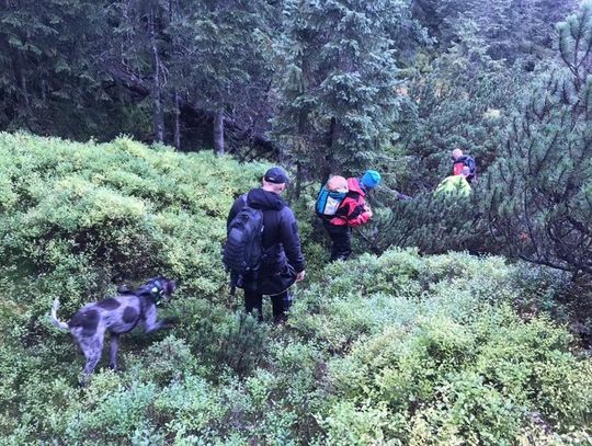 Turystka nie wróciła do schroniska, TOPR wszczął poszukiwania. Odnalazła się w policyjnym areszcie