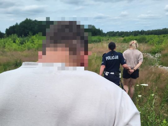 Uciekała alfą romeo i wjechała w pole kukurydzy. Kierująca bez prawka, za to po narkotykach