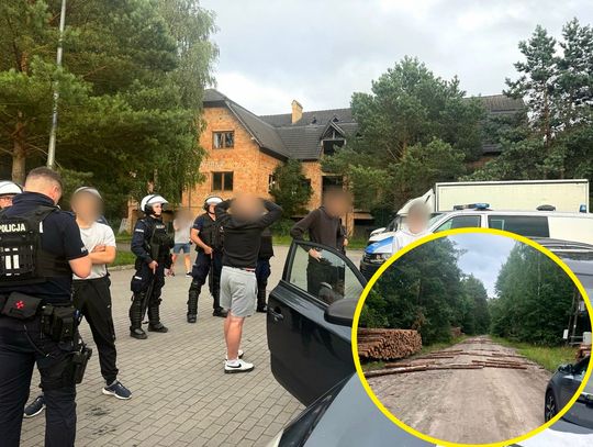 Udaremniona leśna ustawka kiboli. Uciekając przed policją chuligani blokowali drogę kłodami drzew