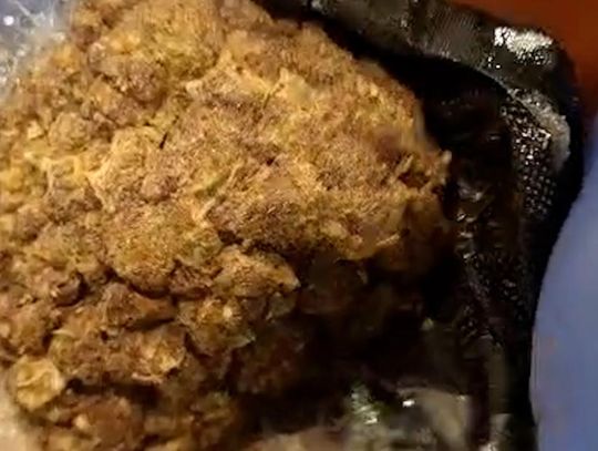 Udaremniony przemyt 47 kg marihuany. Narkotyki z Tajlandii ukryto w puszkach z owocami [WIDEO]
