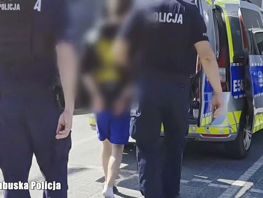 Uderzył policjanta kamieniem w głowę. 18-latek i jego kompani trafili za kraty