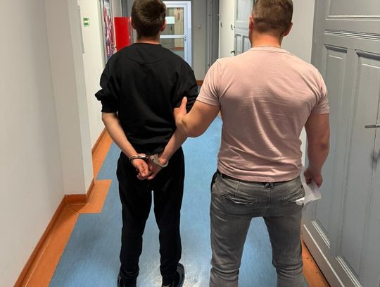 Ukradł auto ojczymowi i wylądował w rowie. 17-latek odpowie za kradzież i narkotyki