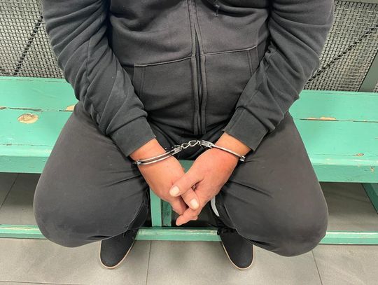 Ukradł koła i wystawił je w sieci. Wpadł w zasadzkę przygotowaną przez właściciela i policję