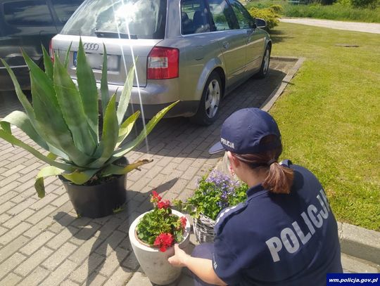 Ukradł kwiaty spod czyjegoś domu, aby podarować je matce. Teraz może się z nią oglądać przez kraty