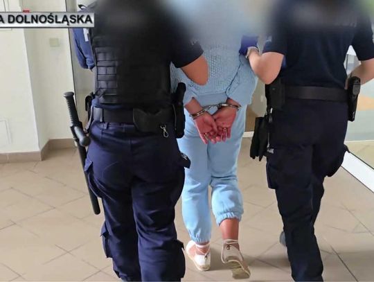 Ukradła plecak, opróżniła go i zaniosła na policję. Pieniądze miała w bieliźnie