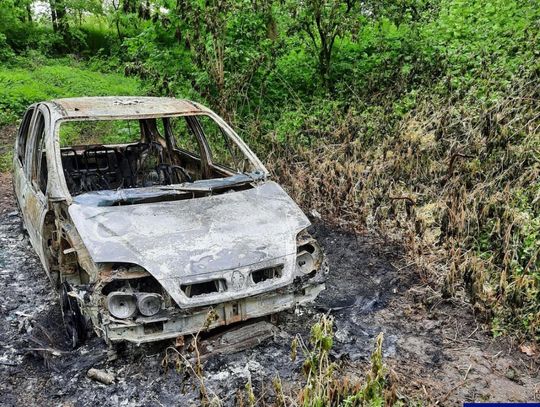 Ukradli samochód, wyjechali nim do lasu i spalili