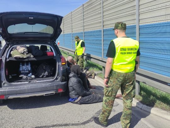 Ukrainiec wiózł pięcioro nielegalnych imigrantów z Afryki. Zatrzymali ich na autostradzie