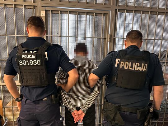 Ukrainiec woził pasażerów mimo zatrzymanego prawa jazdy. Policjantom zaproponował 500 zł łapówki