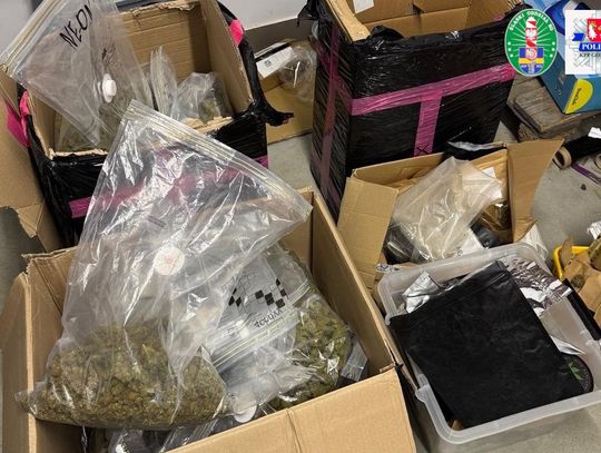 Ukrywał 17 kilogramów narkotyków w magazynie firmowym. Myślał, że tam nikt nie będzie szukał