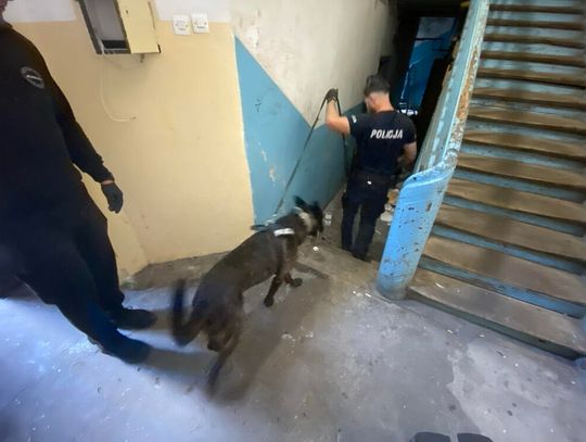 Ukrywał narkotyki na klatce schodowej i w piwnicy. Policjanci znaleźli heroinę i mefedron