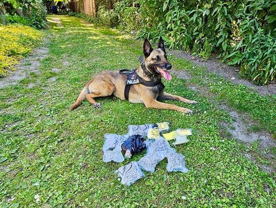 Ukrywał narkotyki w domu i ogrodzie. Policjanci odwiedzili 51-latka z psem służbowym