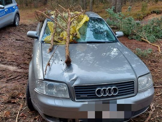 W Boże Narodzenie śmiertelnie potrącił 22-latka na pasach i ukrył auto w lesie