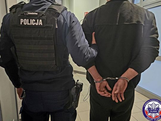 W jedną noc ukradł 11 tablic rejestracyjnych. "Piłem i pokłóciłem się z dziewczyną"